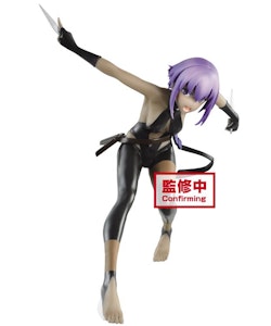 Fate/Grand Order Hassan of the Serenity Servant Figure