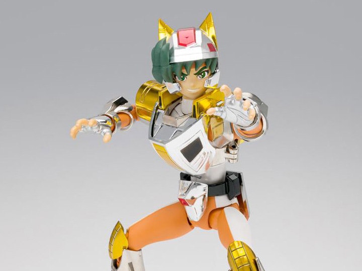 Saint Seiya Myth Cloth Land Cloth Daichi (Revival Ver.)