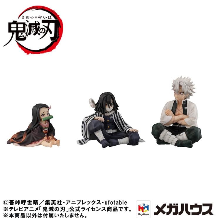 Demon Slayer: Kimetsu no Yaiba G.E.M. Series Shinazugawa-san With Gift