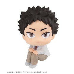 Haikyu!! Look Up Series Hajime Iwaizumi