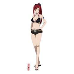 Fairy Tail Dakimakura Pillow Case Erza Scarlet