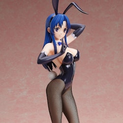 Toradora! Ami Kawashima: Bunny Ver.