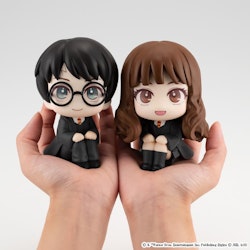 Harry Potter Look Up Series Harry Potter & Hermione Granger Set with Gift