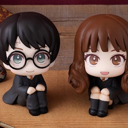 Harry Potter Look Up Series Harry Potter & Hermione Granger Set with Gift