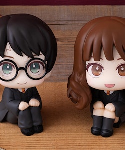 Harry Potter Look Up Series Harry Potter & Hermione Granger Set with Gift