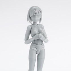 S.H.Figuarts DX Body-chan School Life Edition Set (Gray Color Ver.)