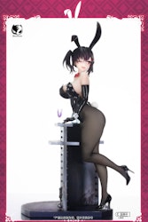 Bunny Girl: Rin illustration by Asanagi