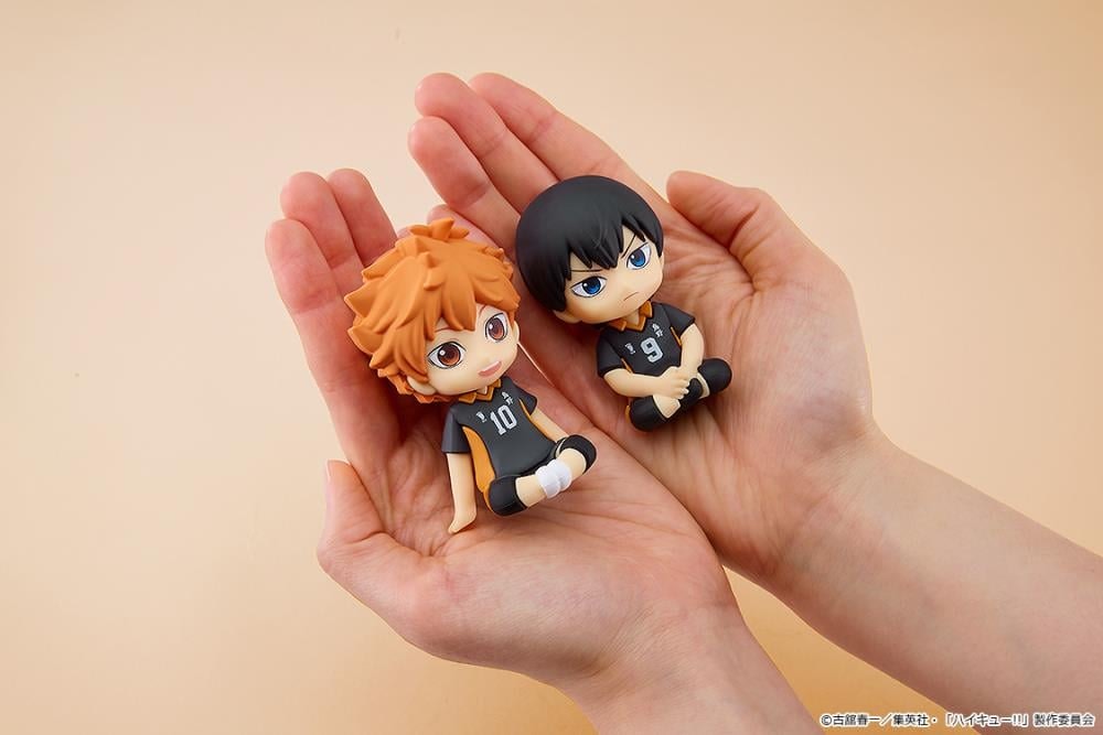 Haikyu!! Nendoroid Plus Rubber Mascot Shoyo Hinata