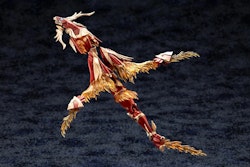 Arcanadea XenoAlma Blaze Ophis Model Kit