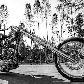 Harley Davidson Chopper.
