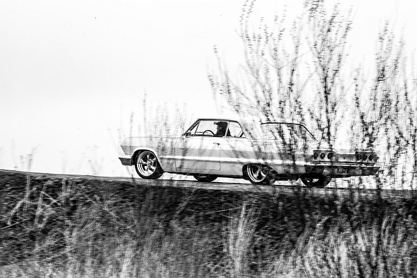 Svartvitt fotografi av en Impala. Poster.