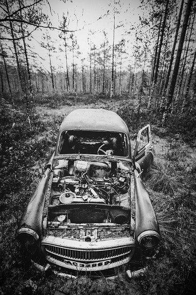 Svartvitt fotografi av en gammal bil i skogen. Poster.