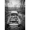 Svartvitt fotografi av en gammal bil i skogen. Poster.