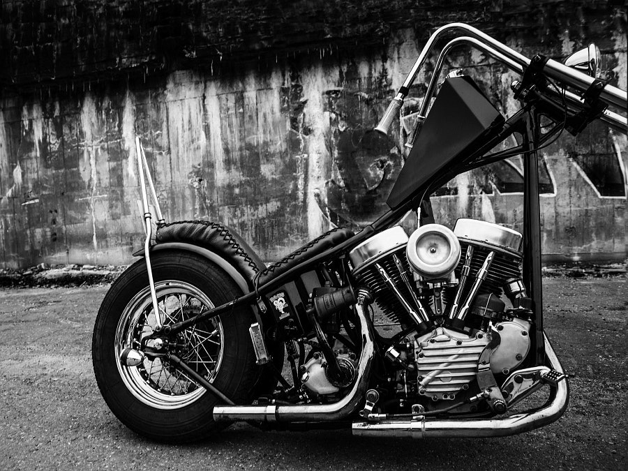 Köp fotografi - Harley Davidson Panna