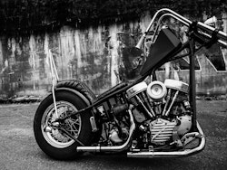 Köp fotografi - Harley Davidson Panna