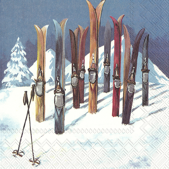IHR servett retro skidor