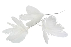 Fjädrar trådade/blom vit