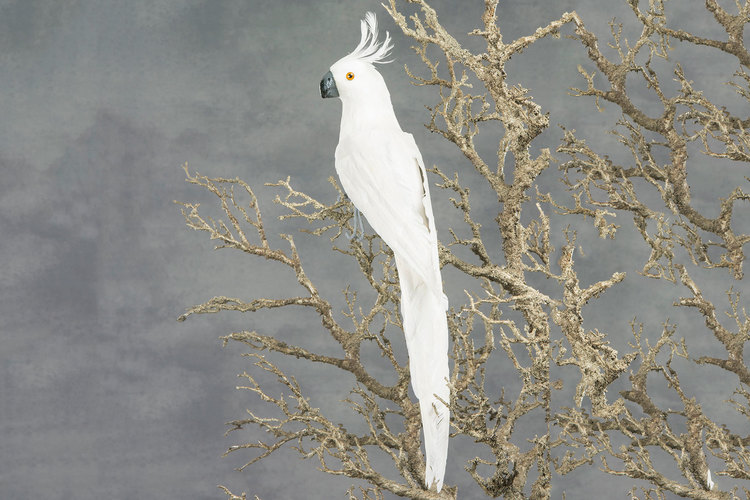 Papegoja vit sittande 50 cm