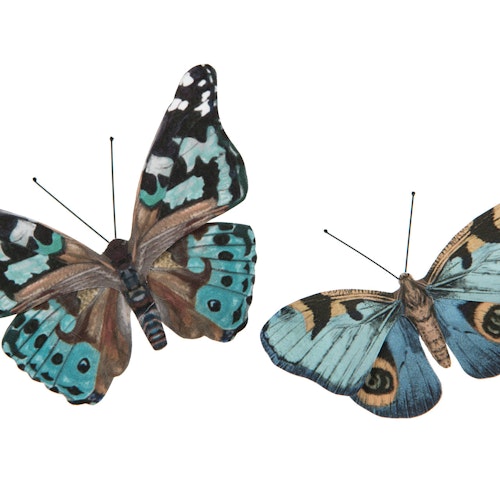 Blå fjärilar 2 pak med clips