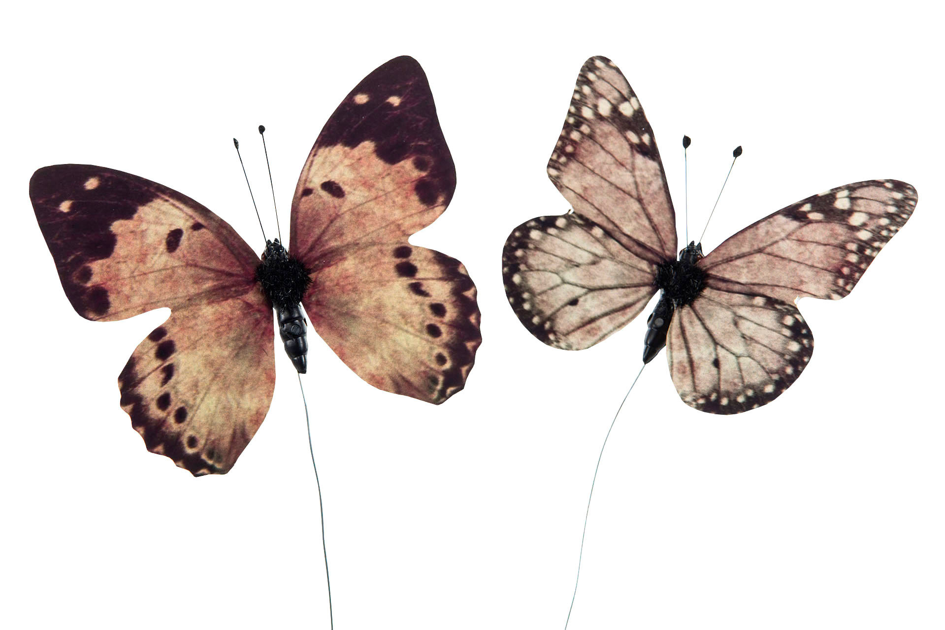 Fjärilar bruna 2 pak Sticks