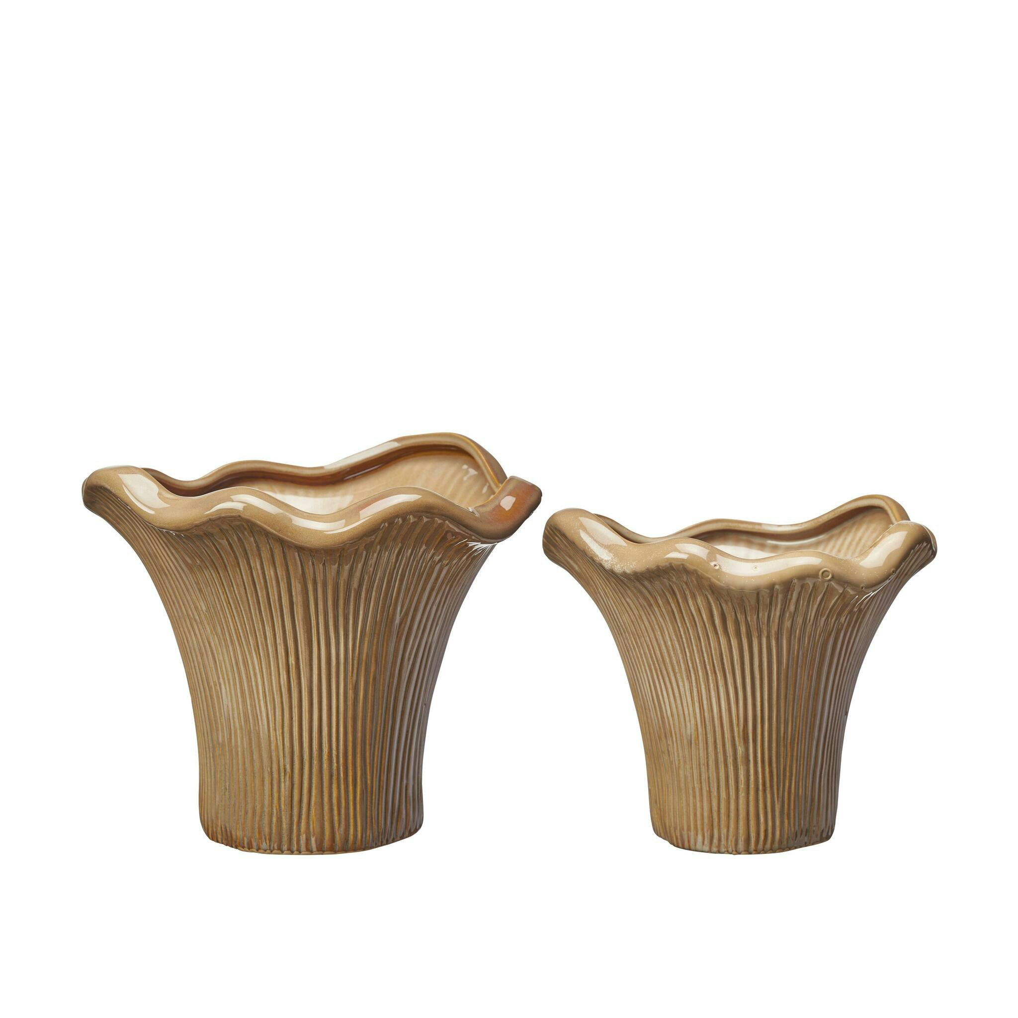 Krukor Kantarell 2 pack