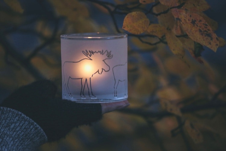 Frostad lykta Älg