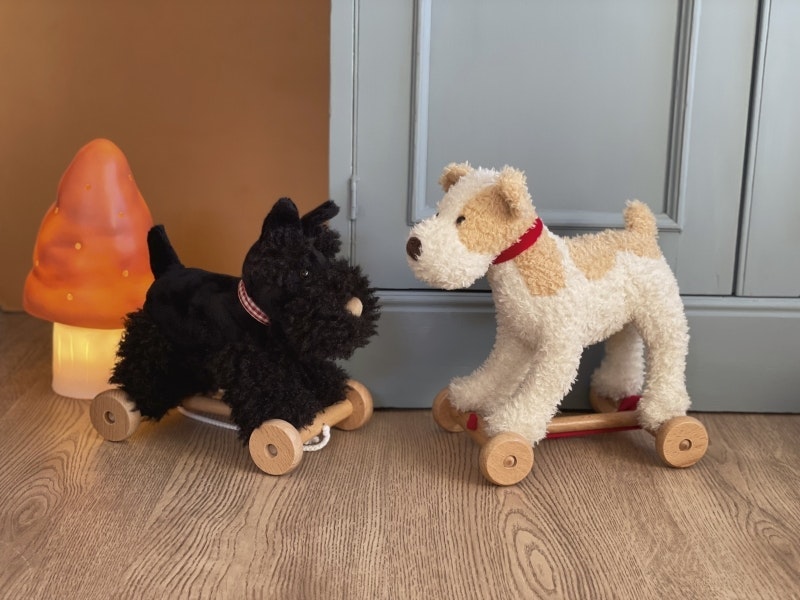 Draghund Elliot terrier