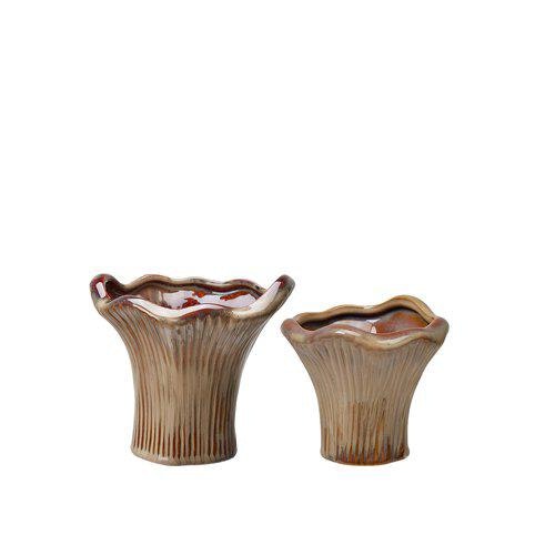 2 pack krukor Kantarell  Små Brunmelerade