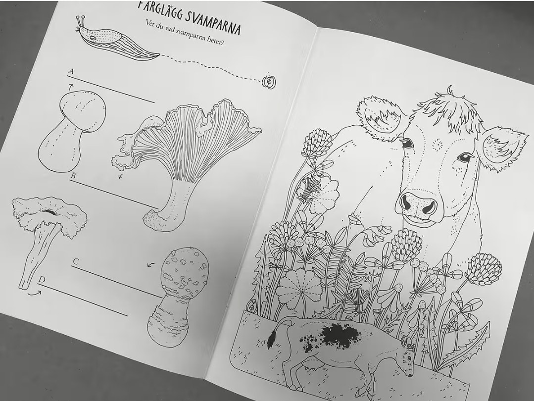 Pysselbok Upptäck naturen