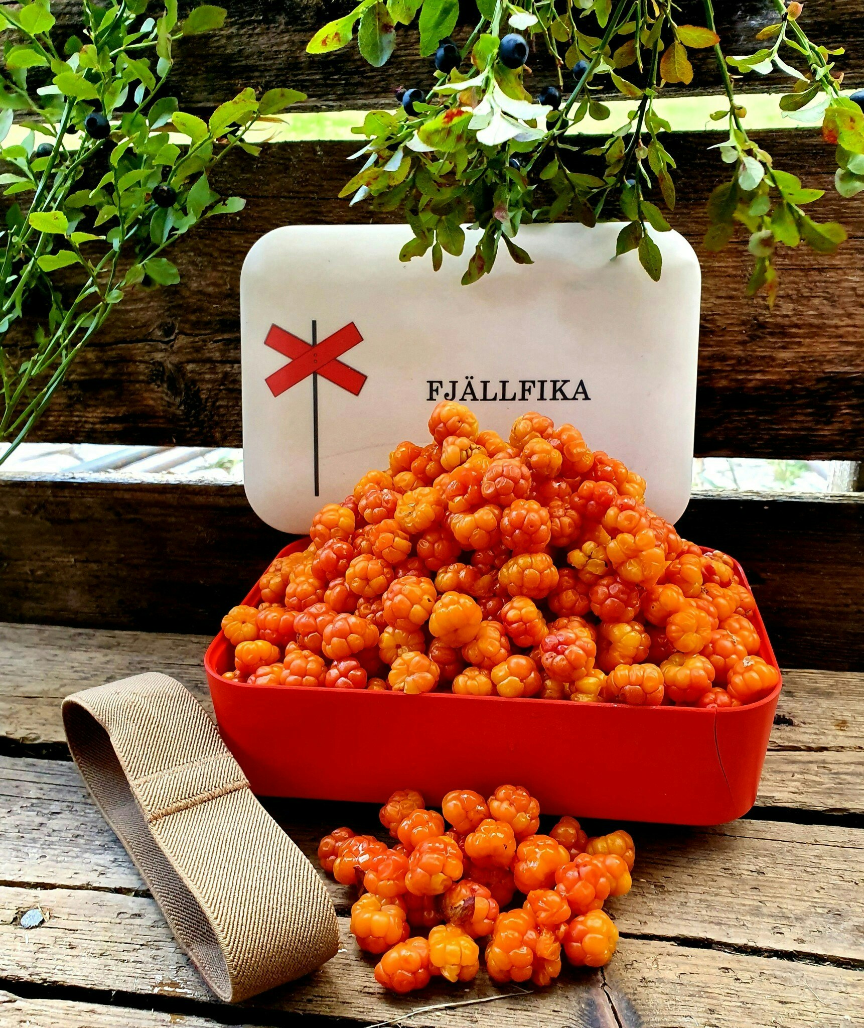 Matlåda Fjällfika i ekologisk bambu