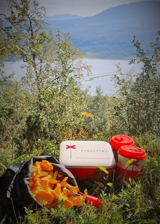 Fjällfika i ekologisk bambu