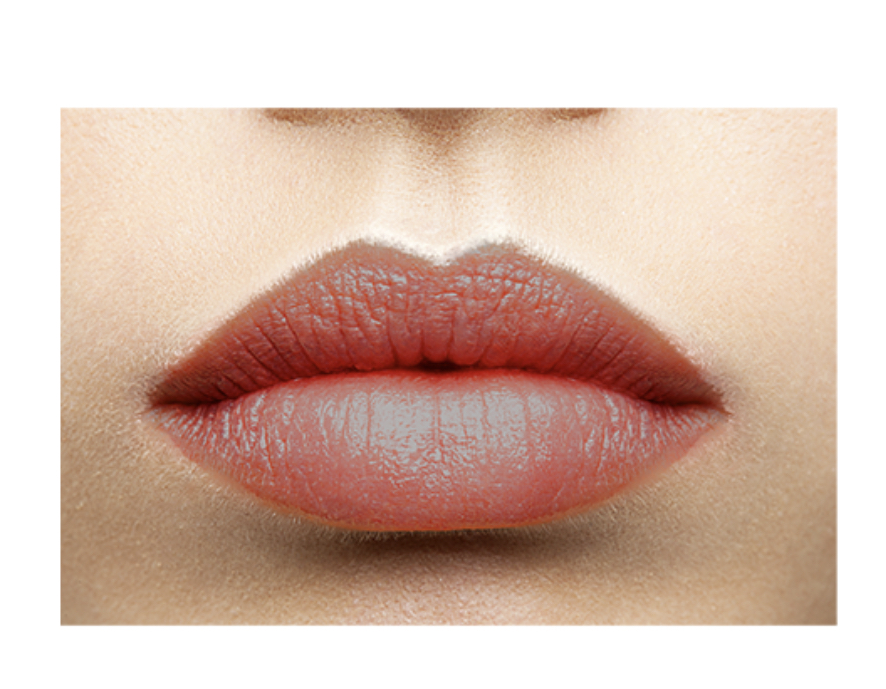 Lip Care Colour (Burgundy)