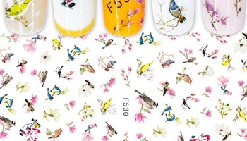 530 Fåglar och cherry blossom Stickers