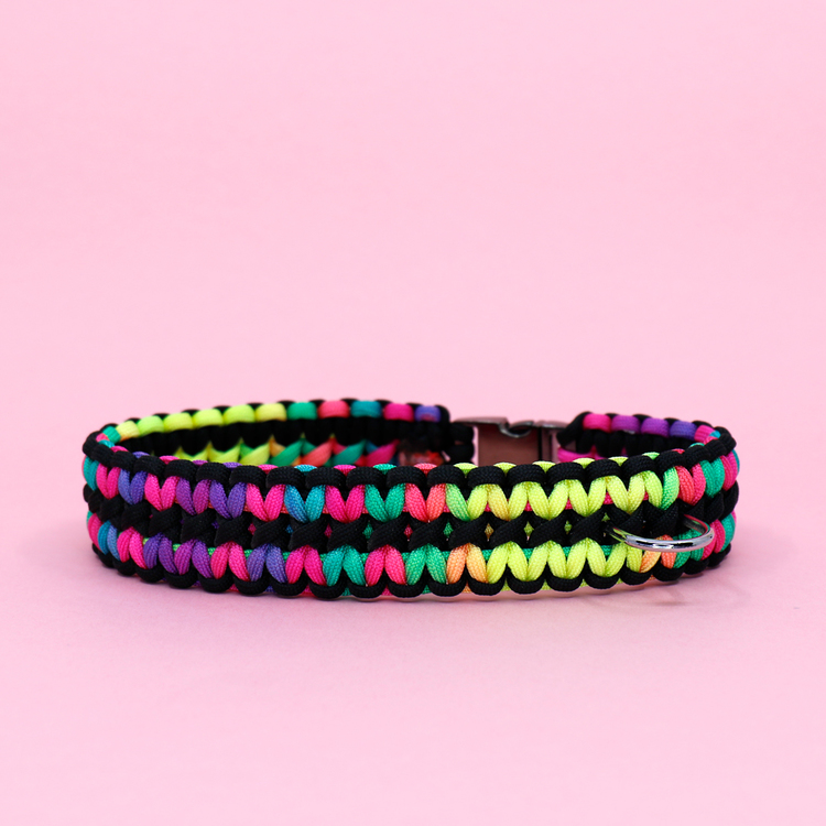Regnbågsfärgat hundhalsband knutet för hand i paracord – en väldigt slitstark nylonlina.