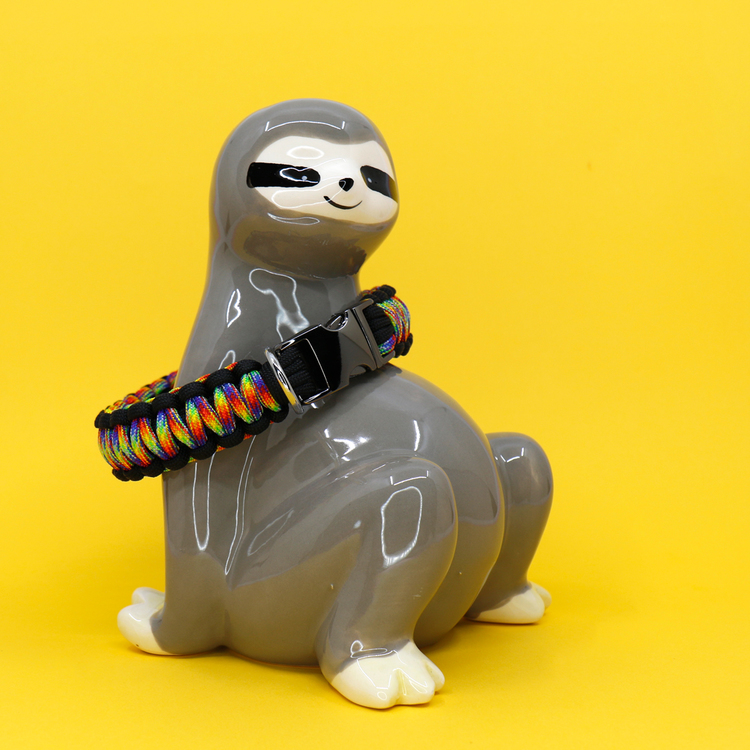 Flerfärgat hundhalsband knutet för hand i paracord – en väldigt slitstark nylonlina. Modell: sengångare.