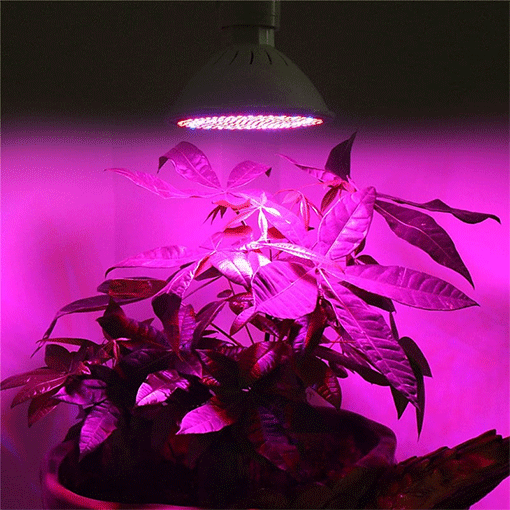 Växtlampa E27 LED 50W