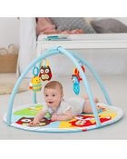 Skip Hop - Funscape Babygym DEMOEX