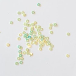 Sequin round 2.5 mm pearled ivory