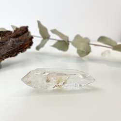 Lemurian #D