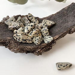 Dalmatiner jaspis, trumlade stenar