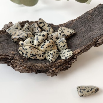 Dalmatiner jaspis, trumlade stenar