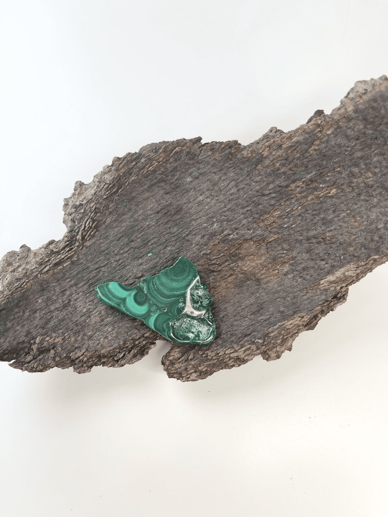 Djupgrön malakit med unika mönster på en ruffig träbit. Malakit, slab #D, är känd för sina spirituella egenskaper.
