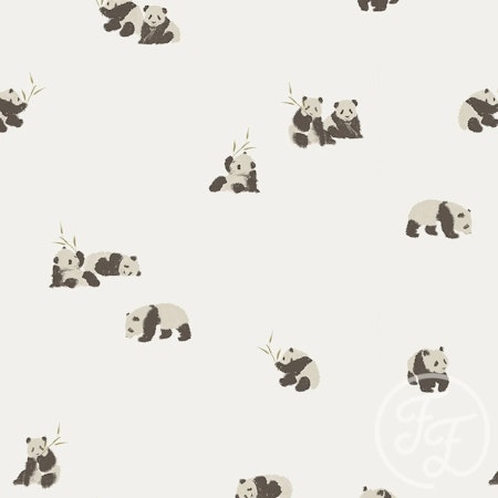Pandor