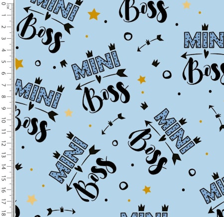Mini boss