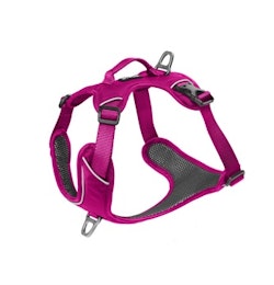 Kyflie Momentum Harness Pink