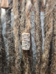 "Barkbit" - Trädekoration till dreads (6mm hål)