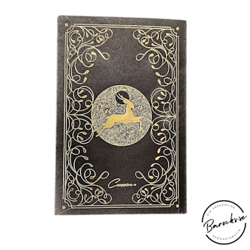 Cocorrina - Cosmic Wild Guidebok