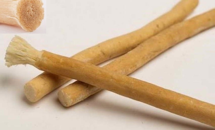 Miswak med hållare