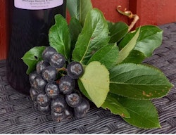 Aroniajos-Bara Aronia 500 ml