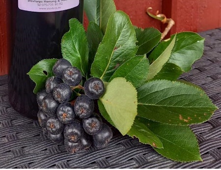 Aroniajos-Bara Aronia 500 ml